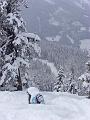 080324(Snowboarding_Dorfgastein)_13