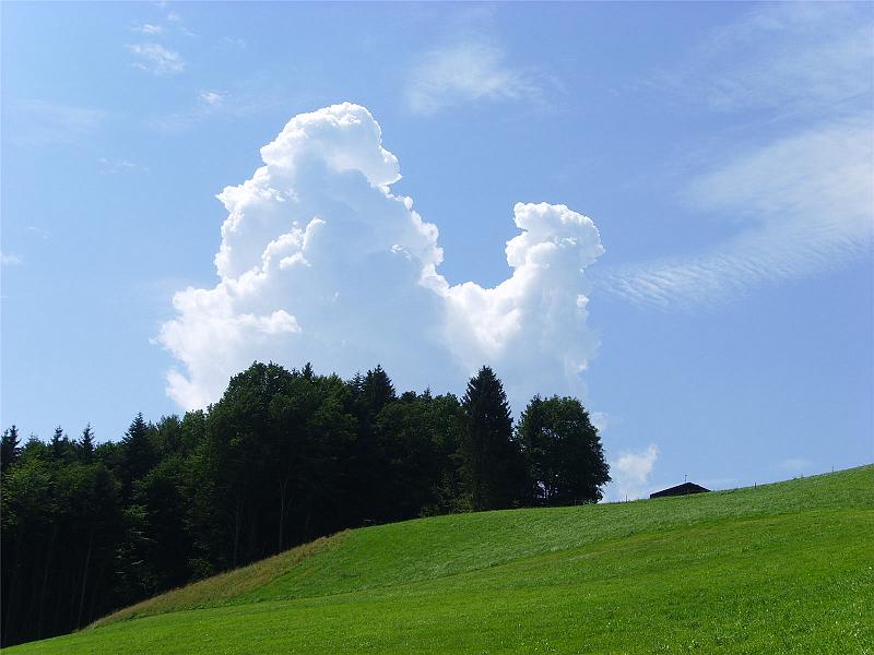 02_Salzburg_080726.jpg