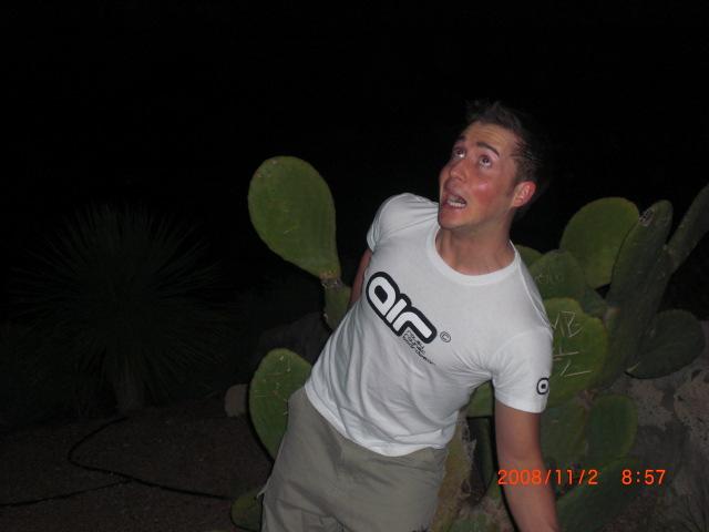 04_Teneriffa_20090401.jpg