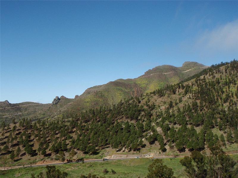 31_Teneriffa_20090401.jpg