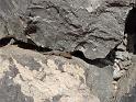 07_Teneriffa_20090401