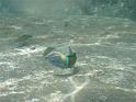 10_Teneriffa_20090401