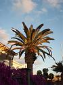 16_Teneriffa_20090401