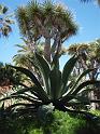 22_Teneriffa_20090401