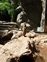 23_Teneriffa_20090401