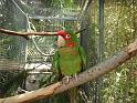 24_Teneriffa_20090401
