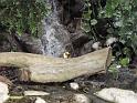 25_Teneriffa_20090401
