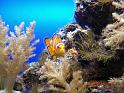 27_Teneriffa_20090401