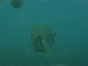 40_Teneriffa_20090401