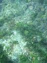 41_Teneriffa_20090401