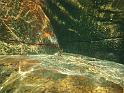 45_Teneriffa_20090401