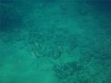 46_Teneriffa_20090401