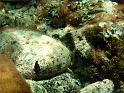 49_Teneriffa_20090401