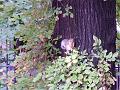 087_NewYork_2008