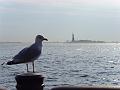 199_NewYork_2008