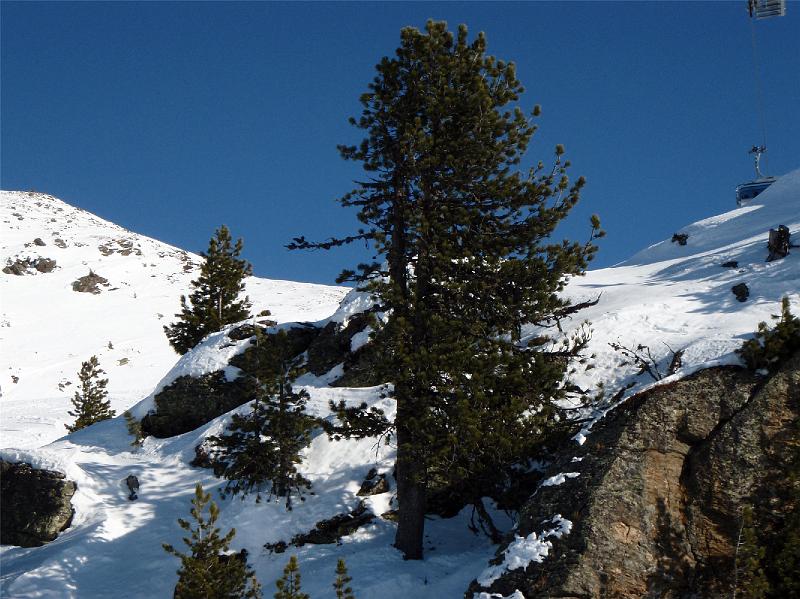 084_ZellAmZiller_20090103.jpg