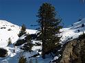 084_ZellAmZiller_20090103