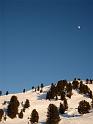 089_ZellAmZiller_20090103