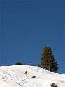 100_ZellAmZiller_20090103
